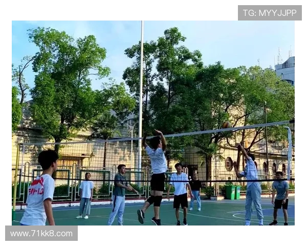 2026年广东省排球比赛精彩回顾与赛事亮点分析